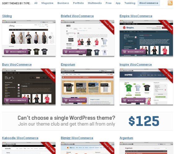 woocommerce themes